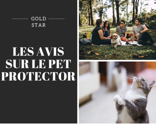 LES AVIS SUR LE PET PROTECTOR - www.reussirsonmlm.com