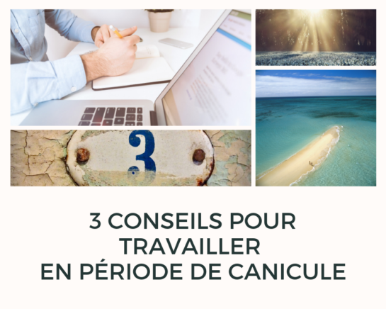 Travailler en Période de canicule - www.reussirsonmlm.com