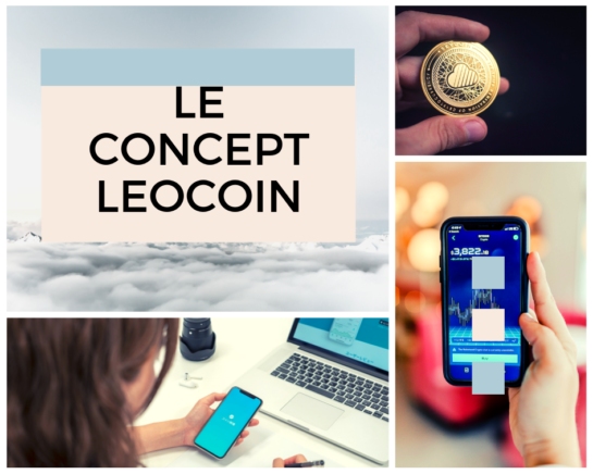 Concept Leocoin - www.reussirsonmlm.com