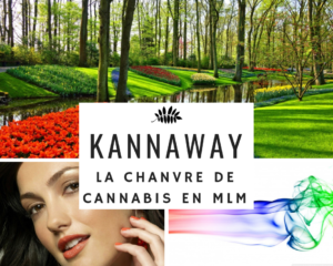 Cannabis MLM Kannaway - www.reussirsonmlm.com